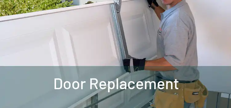  Door Replacement 