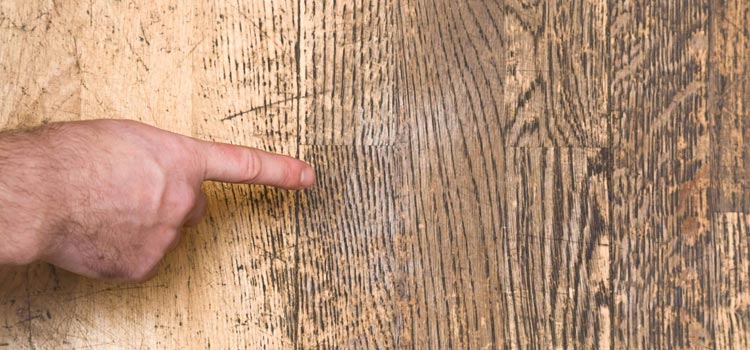 Wood Door Scratch Repair in Los Altos